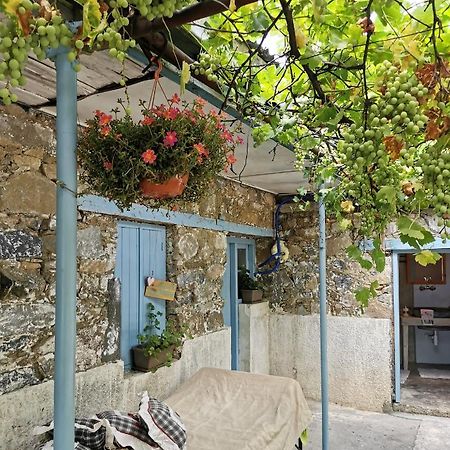 Holiday House Prodromos Zewnętrze zdjęcie