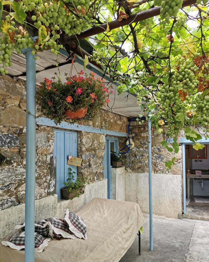Holiday House Prodromos Zewnętrze zdjęcie
