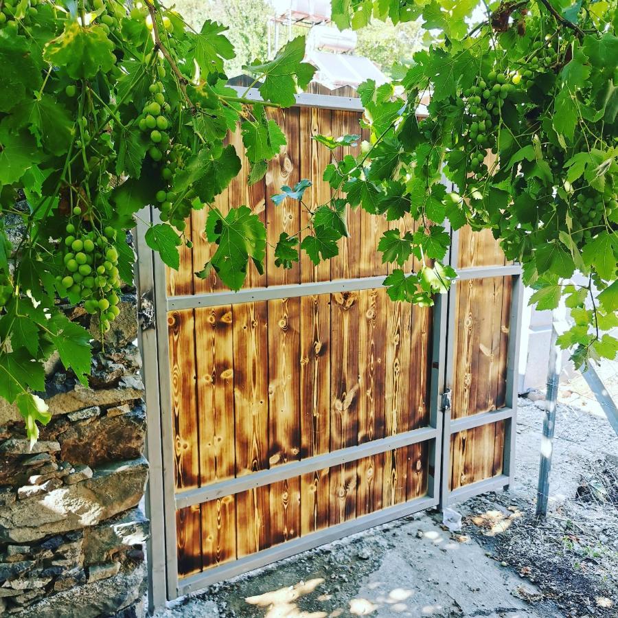 Holiday House Prodromos Zewnętrze zdjęcie