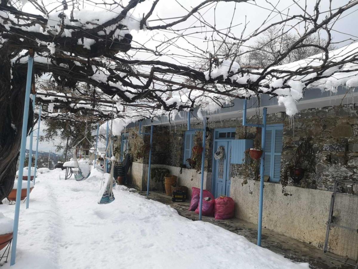 Holiday House Prodromos Zewnętrze zdjęcie