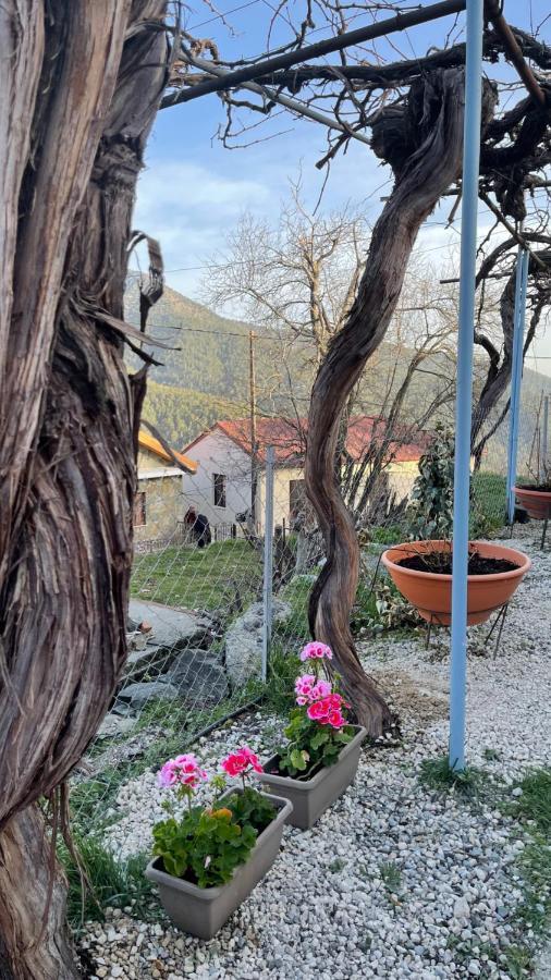 Holiday House Prodromos Zewnętrze zdjęcie